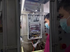 Tankeless Forced Exhaust Gas Water Heater for Natural Gas/LPG Applications