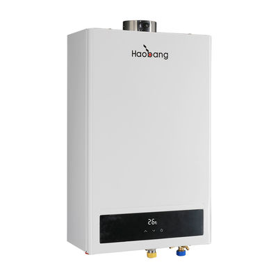 Balanced Flue Gas Water Heater Gas Water Heater for Energy Conservation and Pollution Reduction