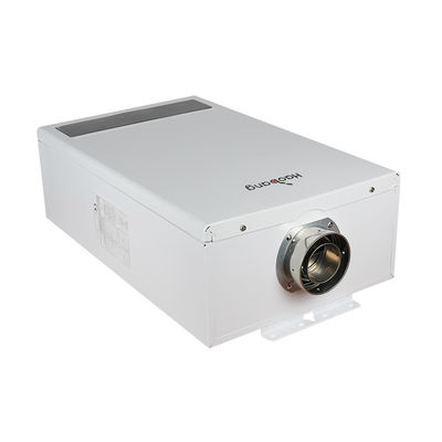 220V-240V/50Hz Energy Saving Balanced Flue Water Heater