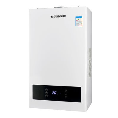 G.W 37.5 Kg Gas Boiler with 24KW Heating Efficiency and 6L Expansion Tank