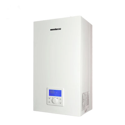 Industrial Grade Natural Gas Boiler with 2.54m3/h Gas Flow 24KW Heating Efficiency