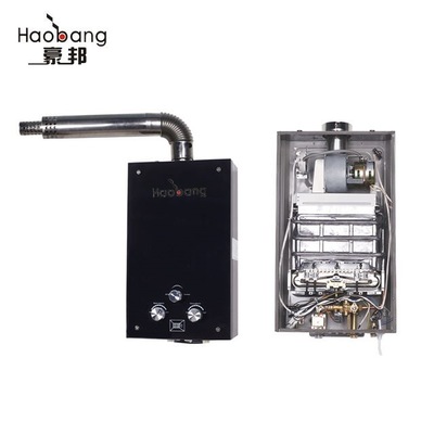 220V Voltage 1 Year Warranty Gas Pressure NG-2000Pa LPG-2800Pa Balance Exhaust Type Gas Water Heater