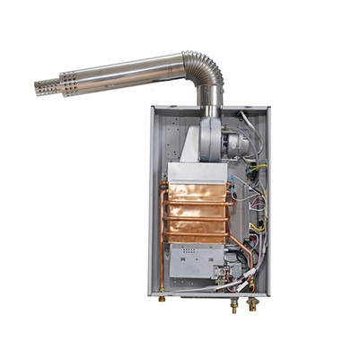 220V 0.025-1.0MPa Smart Tankless Gas Water Heater with 1 Year Warranty