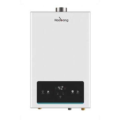 12L Instant Flue Gas Water Heater with Touch Panel Control Free Spare Parts and Coating Panel