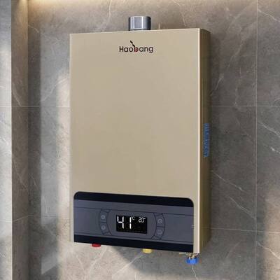 90MM Flue Dimension Power Vented Gas Water Heater Electronic Ignition Energy Solution for Commercial Water Heating Needs