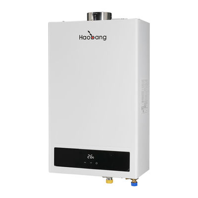 G1/2 Balanced Flue Water Heater with LCD Display and Energy Saving Features